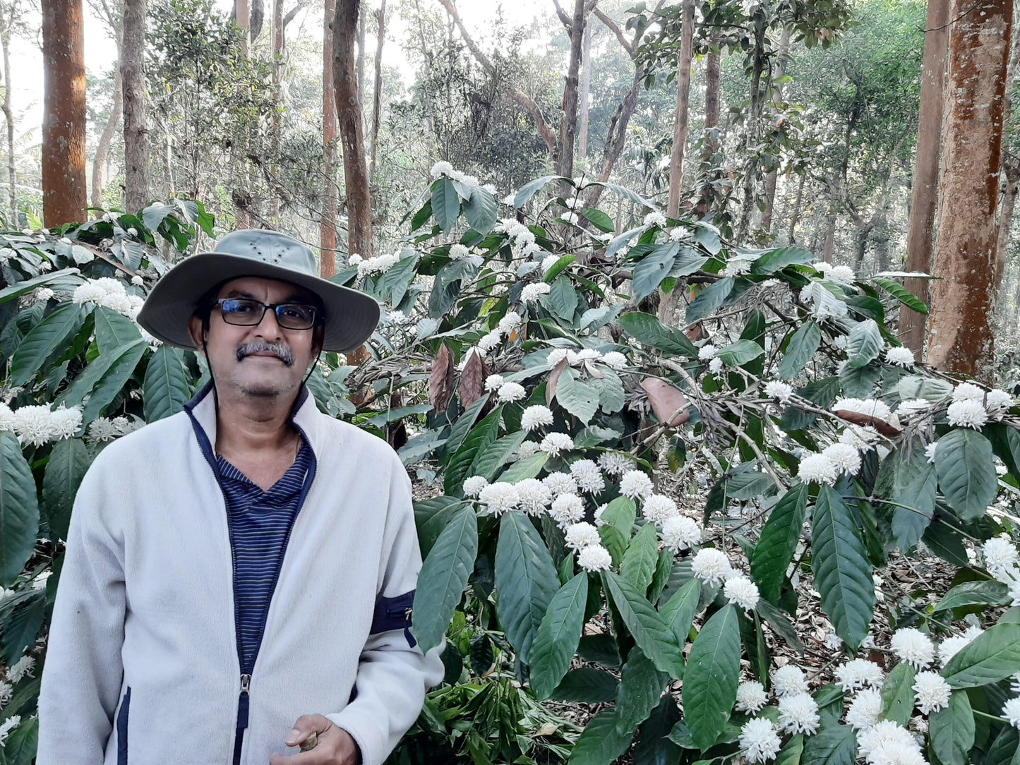 Farmer of Arabica Coffee Plantation