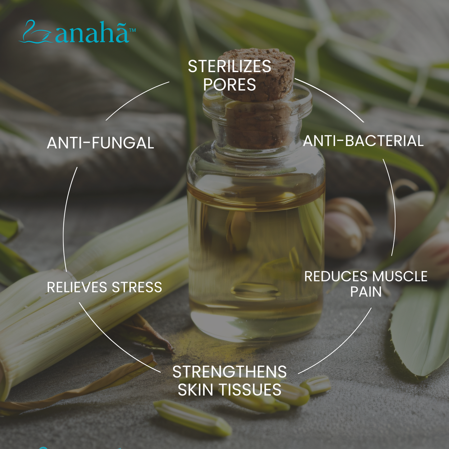 Lemongrass Pure Essential Oil