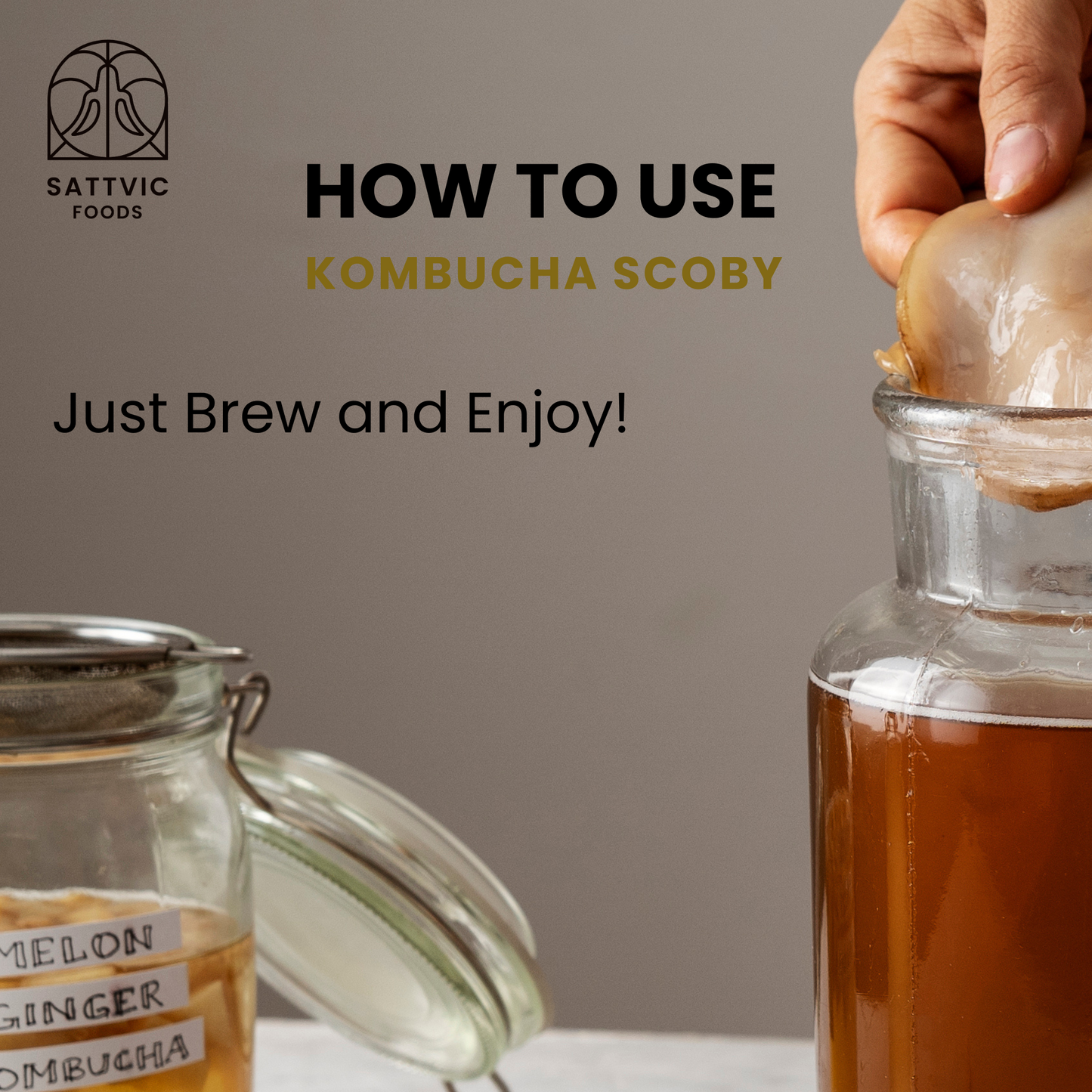 Kombucha Scoby Sattvic Foods