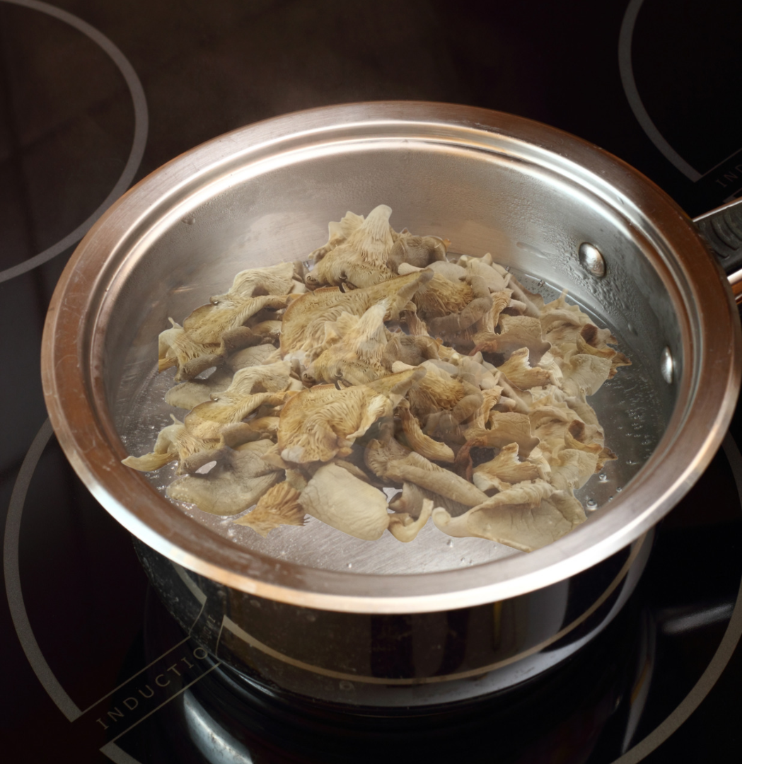 Dried Oyster Mushroom