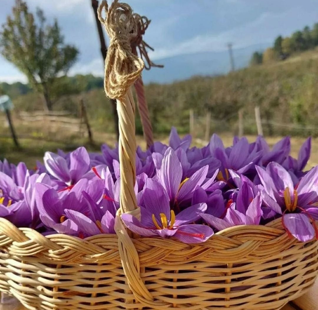 Kashmiri Mongra Saffron sattvicfoods