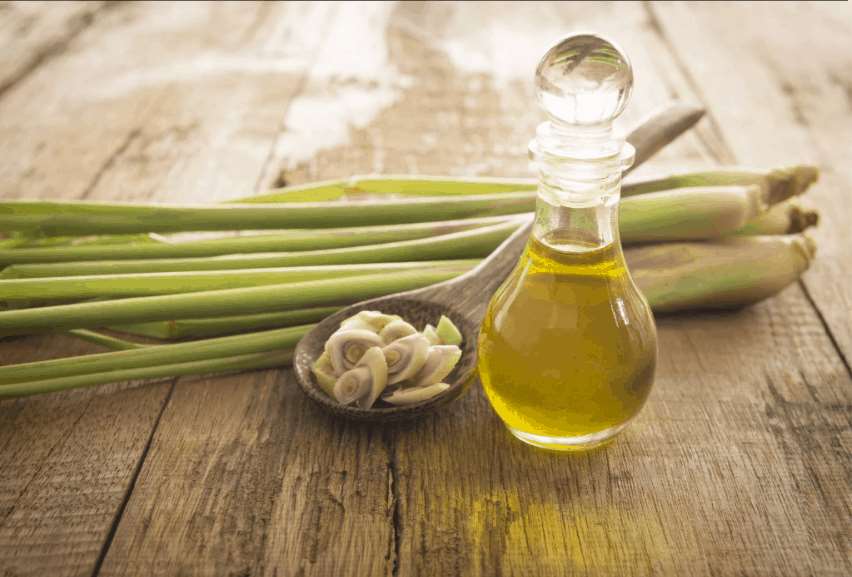 Loose fresh lemongrass with a jar of lemongrass essential oil beside it on a wooden surface