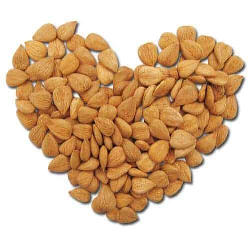 Sweet Apricot Kernels
