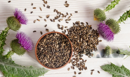 Unlocking the Power of Milk Thistle Seeds: 5 Health Benefits