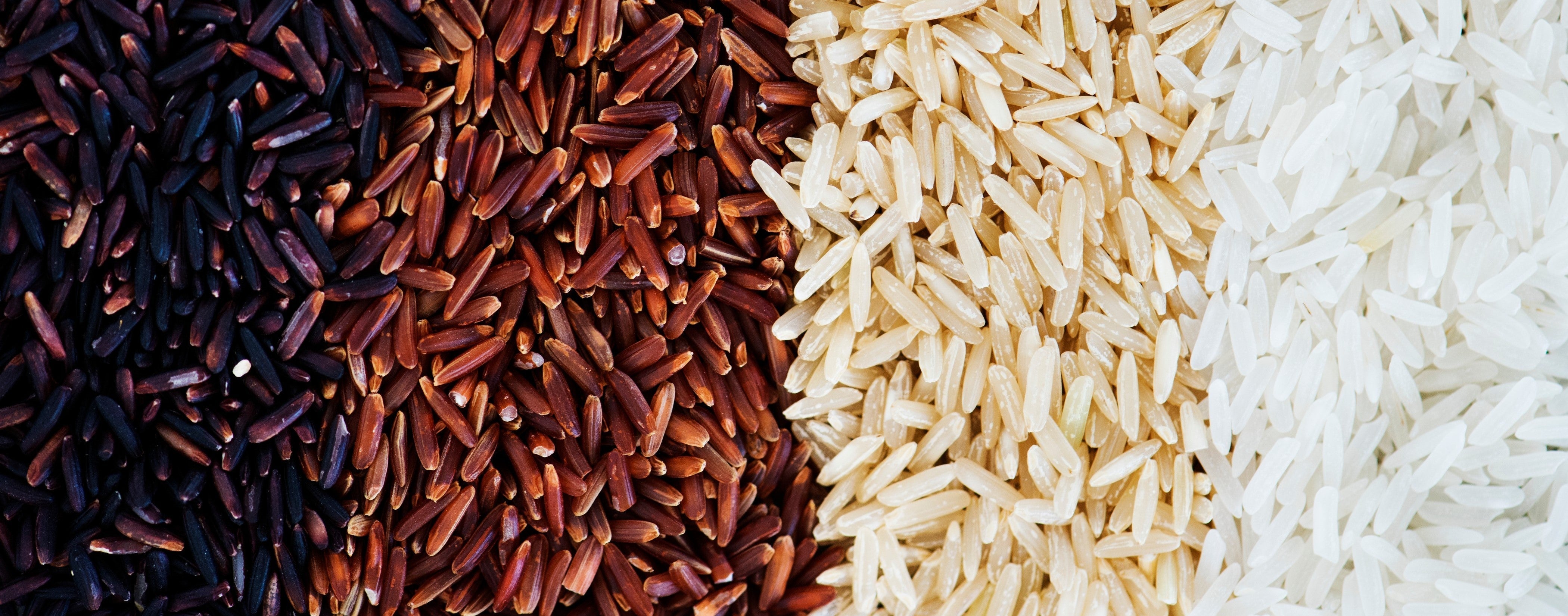 Red Rice vs Brown Rice: What's the Difference? – Sattvic Foods