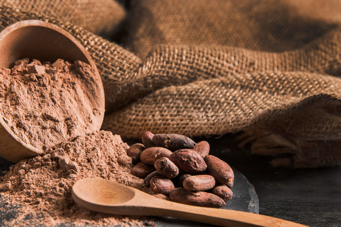 Raw cacao powder and cacao beans with a wooden spoon and sack 