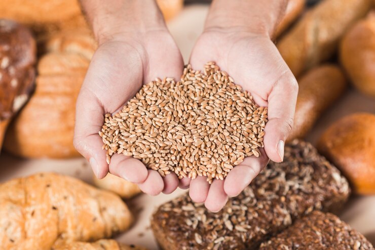 Khapli wheat vs normal wheat