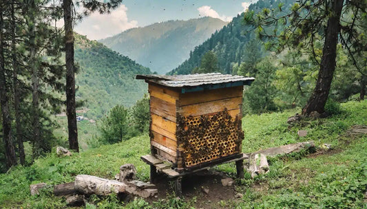 Kashmiri Honey Benefits