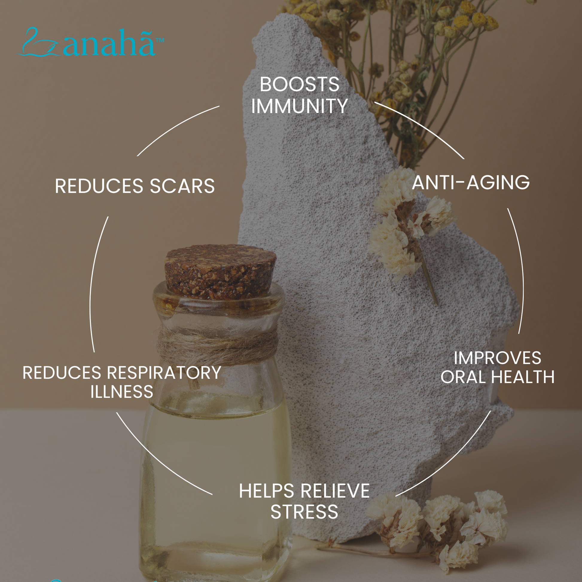 Frankincense Essential Oil | Anti-Ageing & Aromatherapy