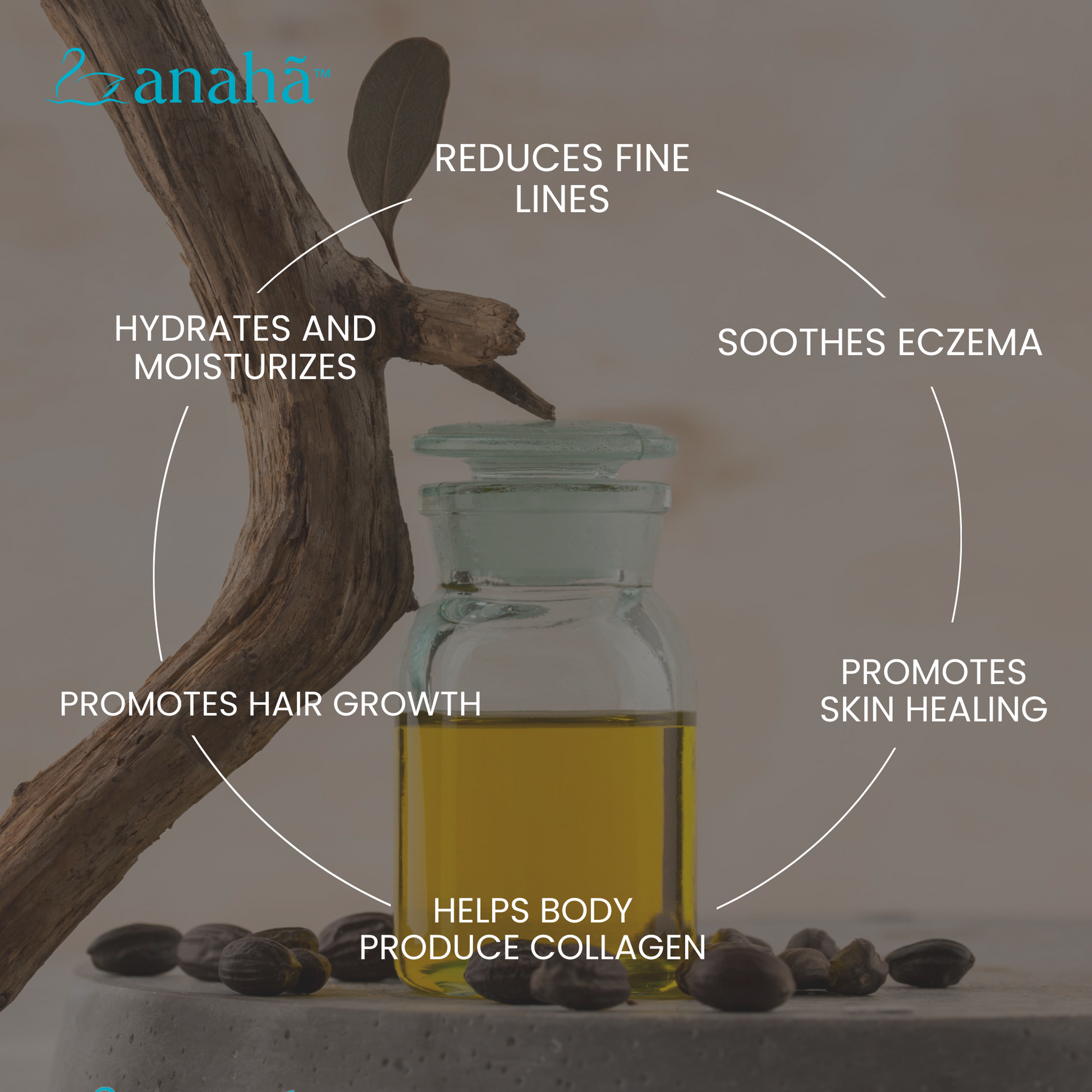 Jojoba Oil | Heal & Moisturise