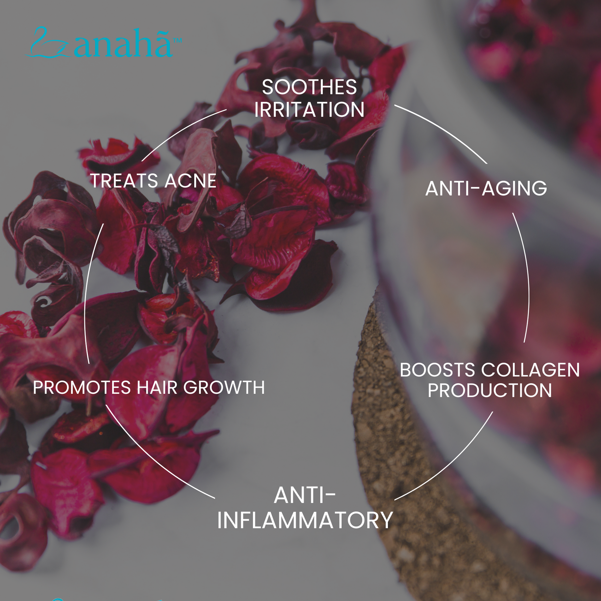 Anaha Rose Hydrosol | Pure & Natural