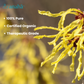 Witch Hazel Distillate | Certified Organic