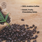 Organic Arabica Coffee Beans | Medium Dark Roast