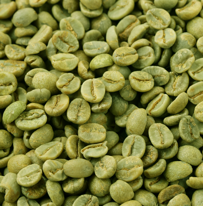 Organic Green Coffee Beans – 100% Arabica & Unroasted