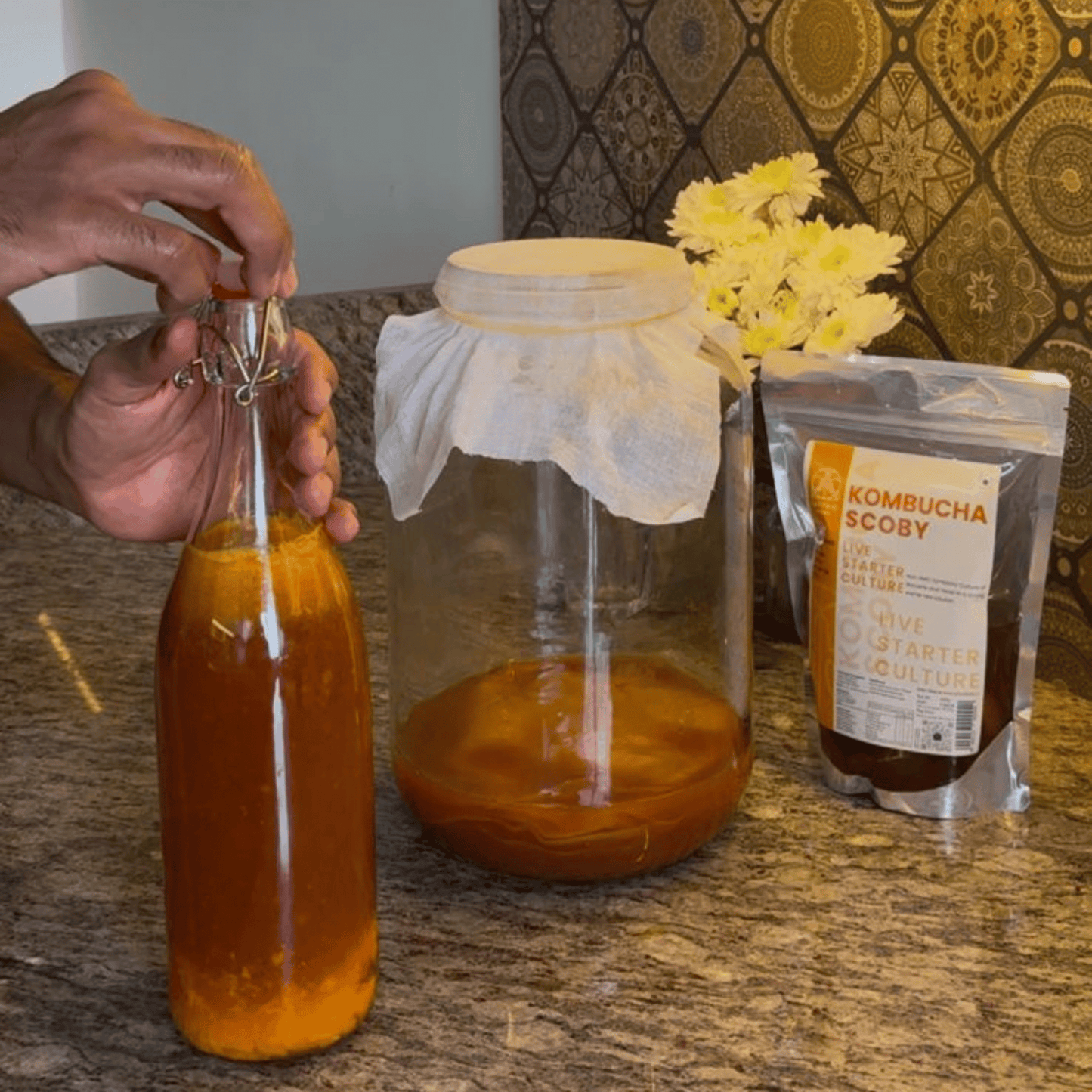 Mango Kombucha | Small-Batch, Brewed in Goa | 5 L can
