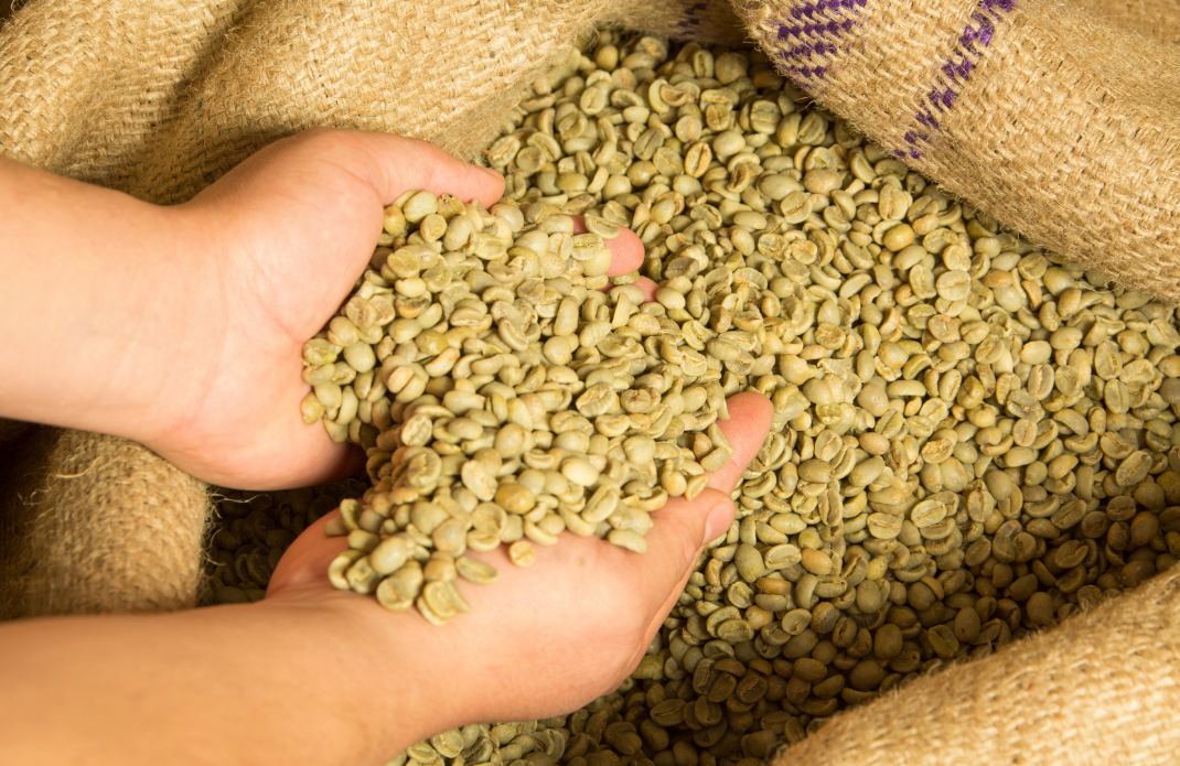 Green Coffee Beans – 100% Arabica & Unroasted