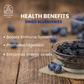 Dried Blueberries (Imported from USA)