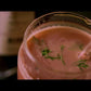 Kokum Rind