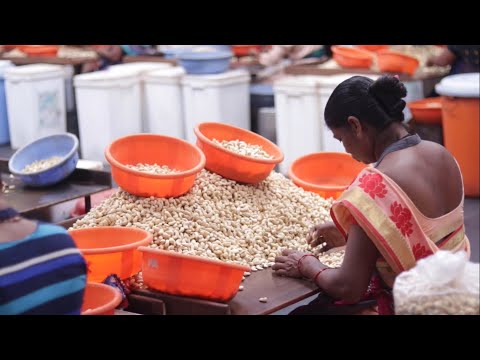 How cashews are made