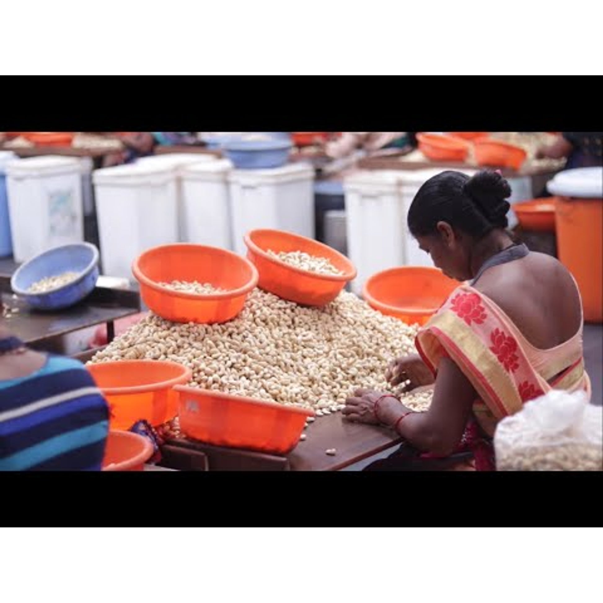How cashews are made
