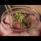 Kokum Rind