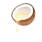 Coconut Oil (Cold Pressed) - Sattvic Foods
