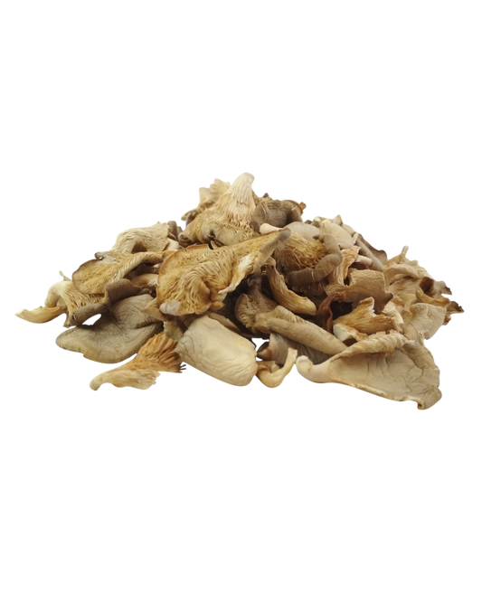 Dried Oyster Mushroom