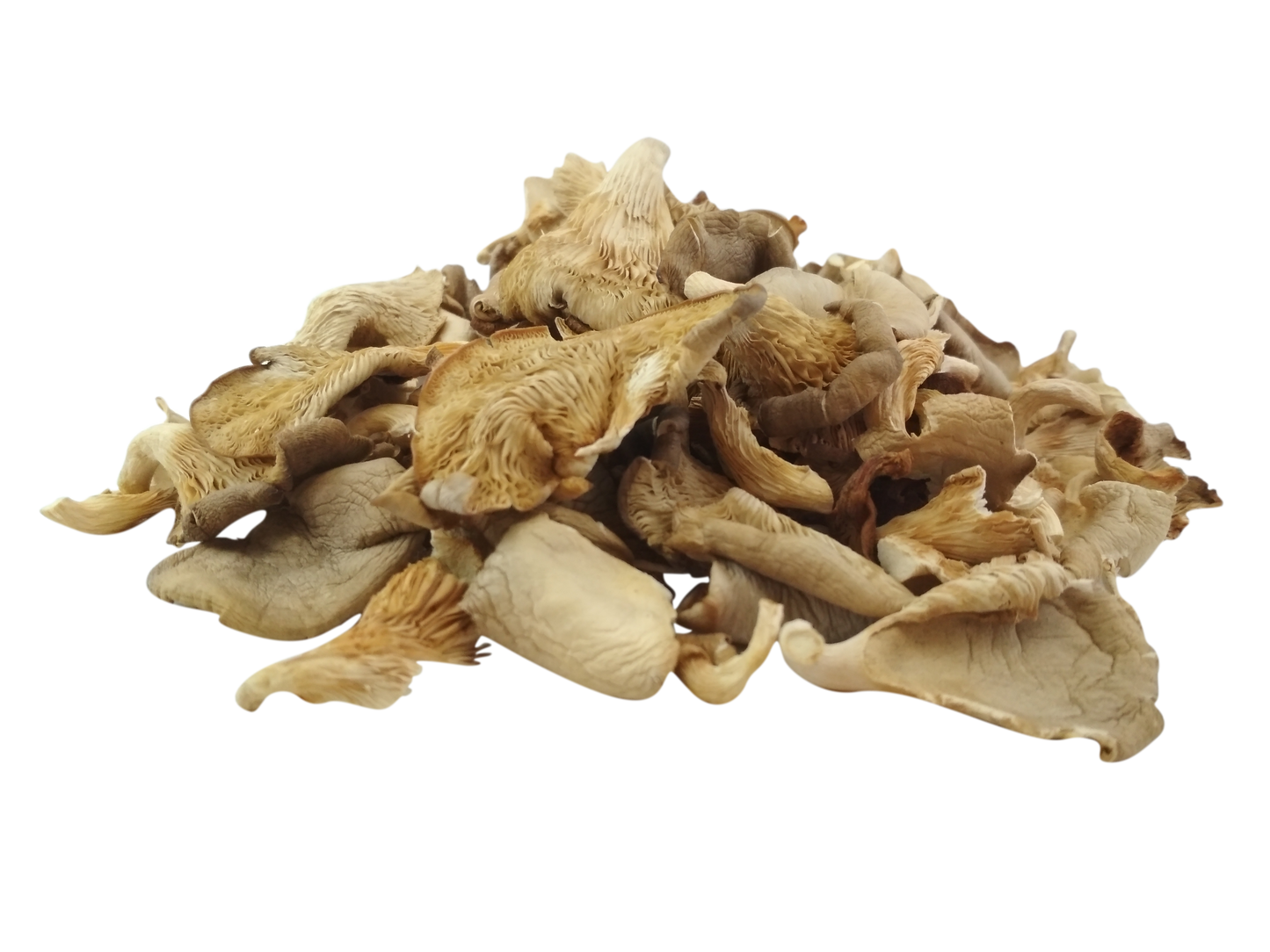 Dried Oyster Mushroom