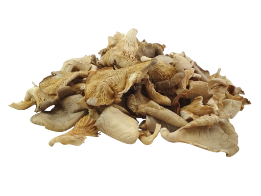 Dried Oyster Mushroom Sattvic Foods