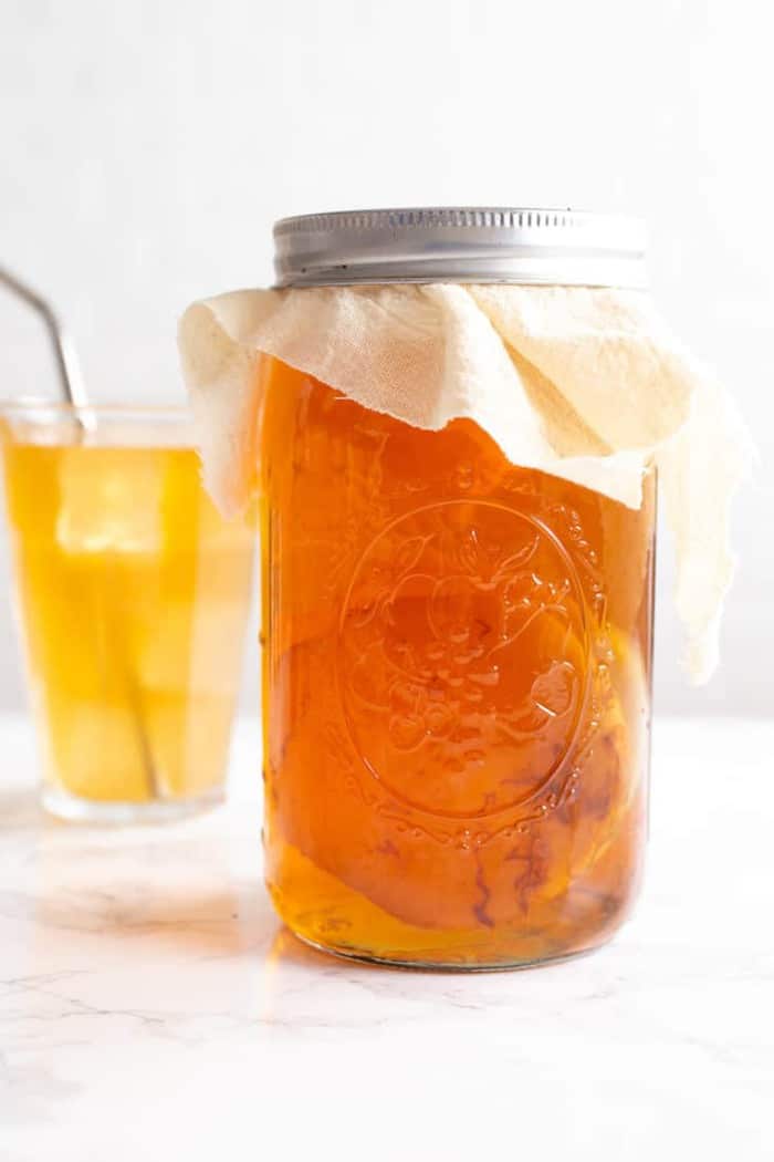 Kombucha Scoby Sattvic Foods