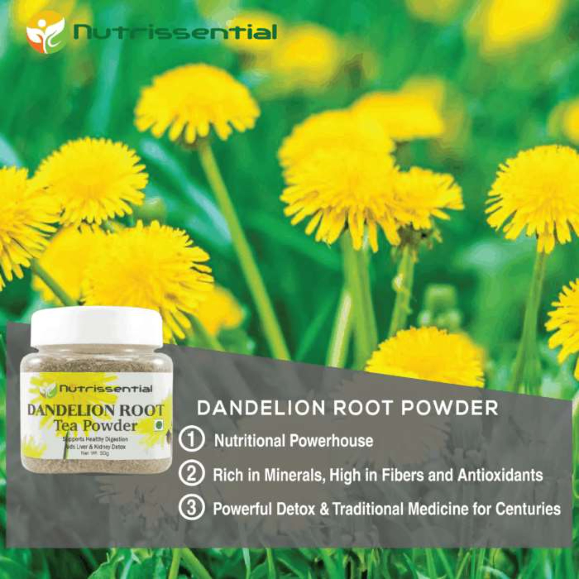 Dandelion Root Tea (Kashmir) Sattvic Foods