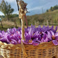 Kashmiri Mongra Saffron sattvicfoods