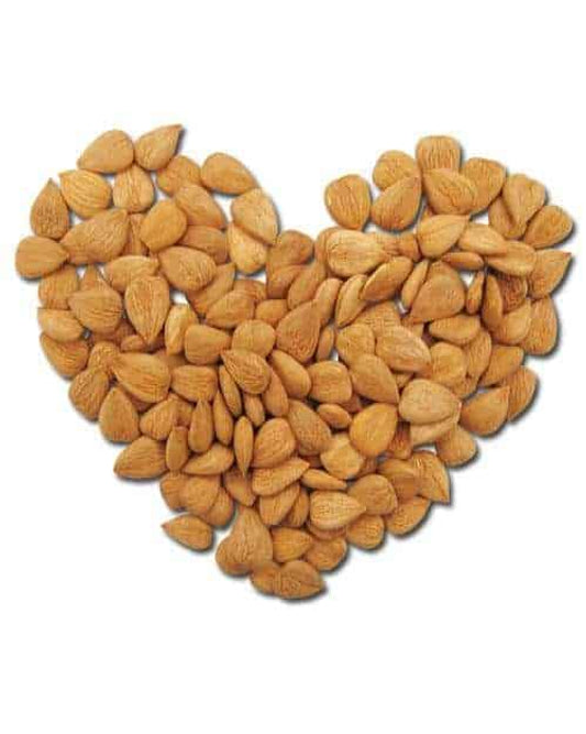 Sweet Apricot Kernels - Sattvic Foods